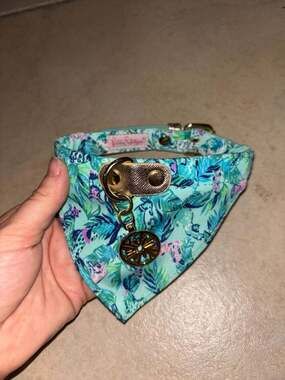 Lilly Pulitzer Splendor in the Sand Dog Collar with Bandana, Size S/M
